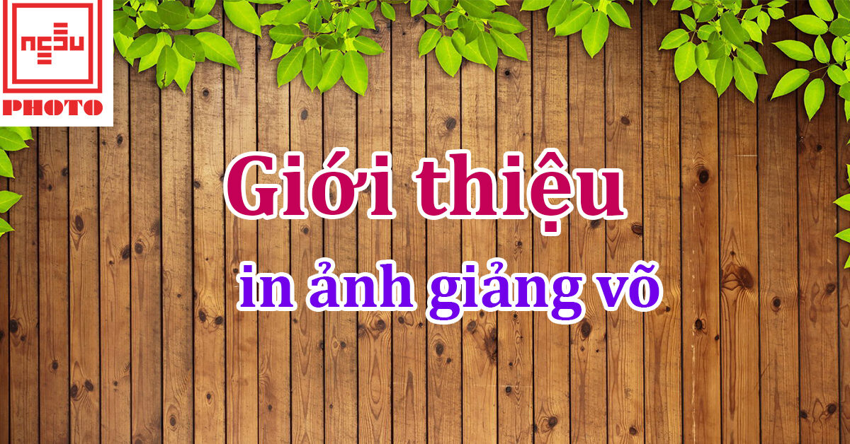 in ảnh giảng võ