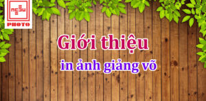 in ảnh giảng võ