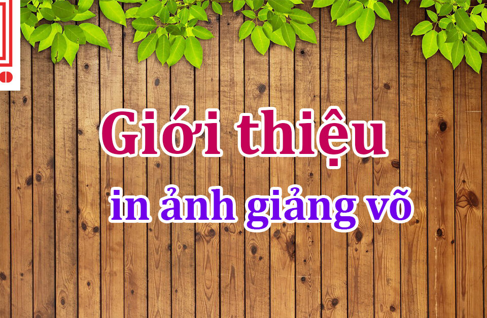 in ảnh giảng võ