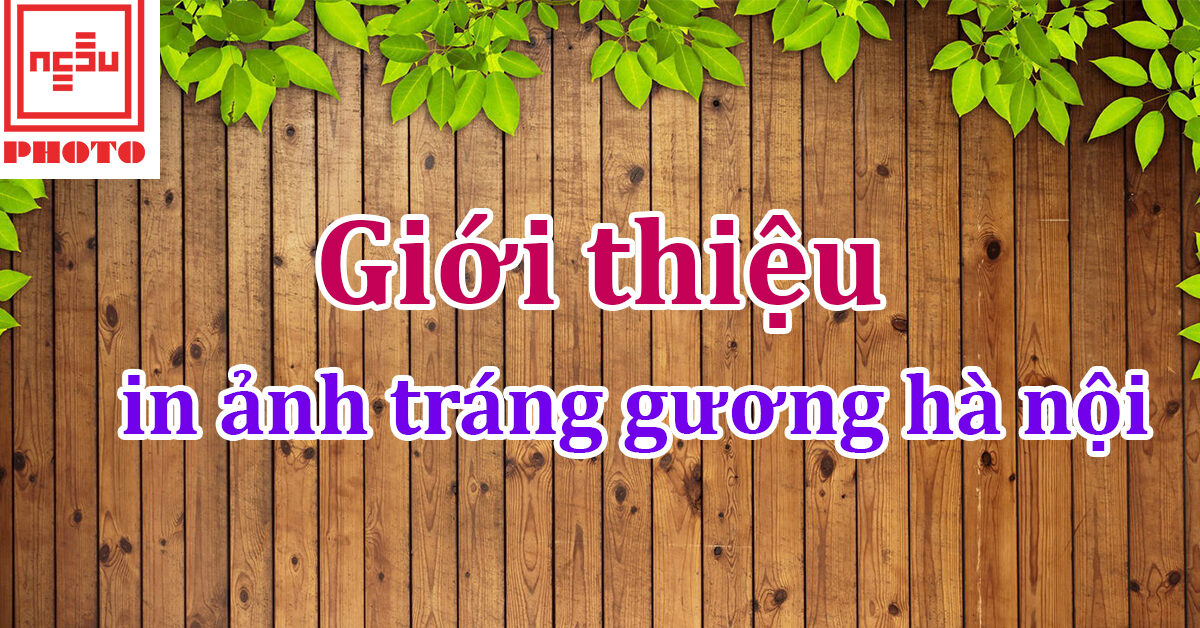 in anh trang guong ha noi