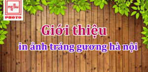 in anh trang guong ha noi
