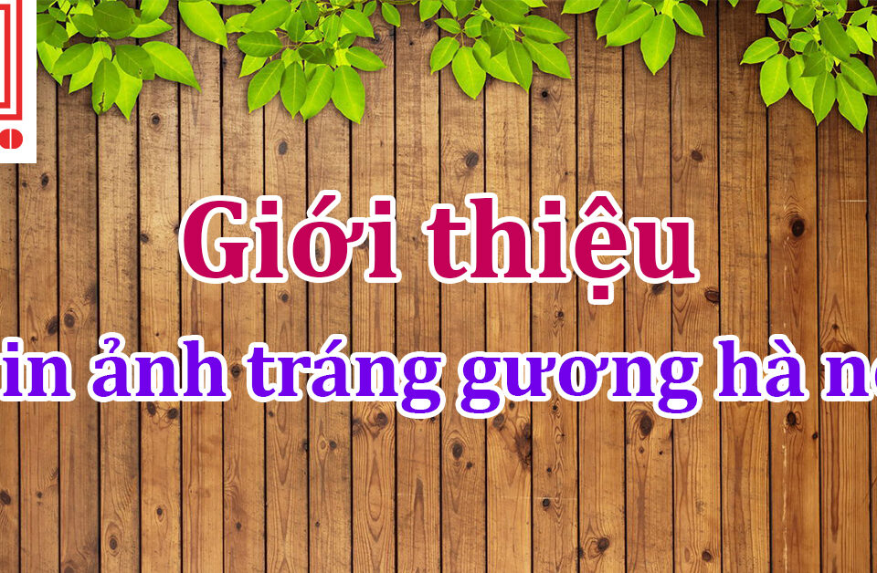 in anh trang guong ha noi